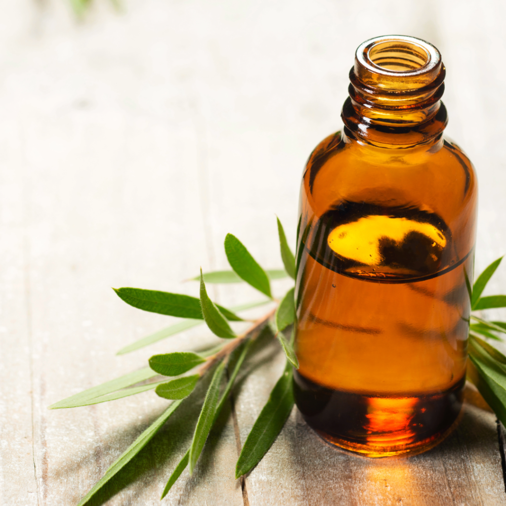 tea tree oil in a brown bottle