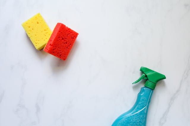 spray bottle with sponges