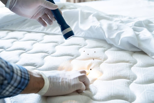 person shining light on mattress to look for bed bugs