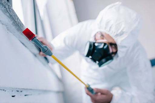 Pest control professional spraying indoors